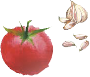 Tomato Gaspacho